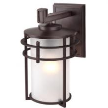 Canarm IOL199ORB - Flex, IOL199ORB, 1 Bulb Outdoor Downlight, Frosted Glass